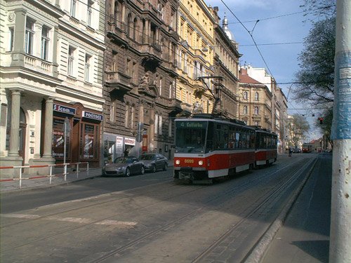 Transport in Belgrade