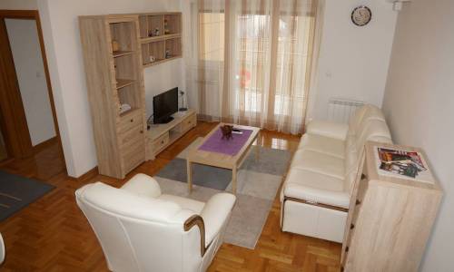 apartment Shiging, Dorcol, Belgrade