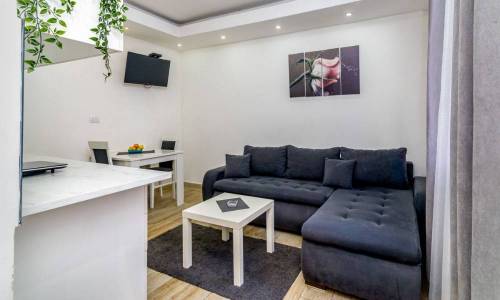apartment Afrika, Vracar, Belgrade