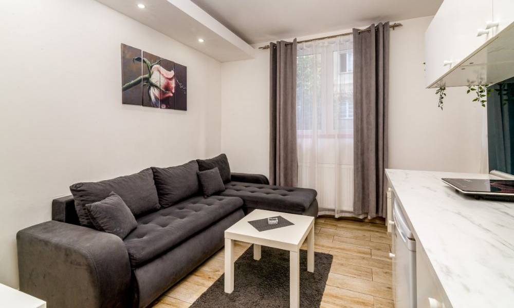 apartment Afrika, Vracar, Belgrade