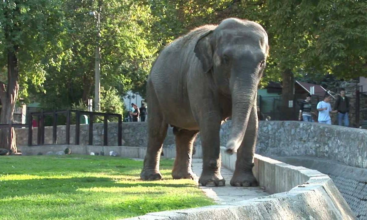 Belgrade Zoo