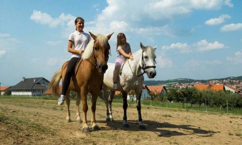 Field horse riding in Belgrade