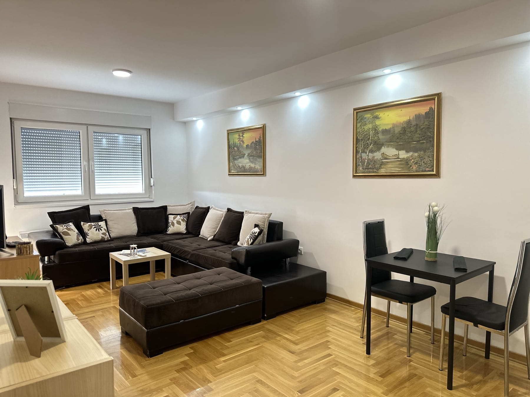 Apartman Ledina, Surčinska ulica, Novi Beograd, dnevna soba