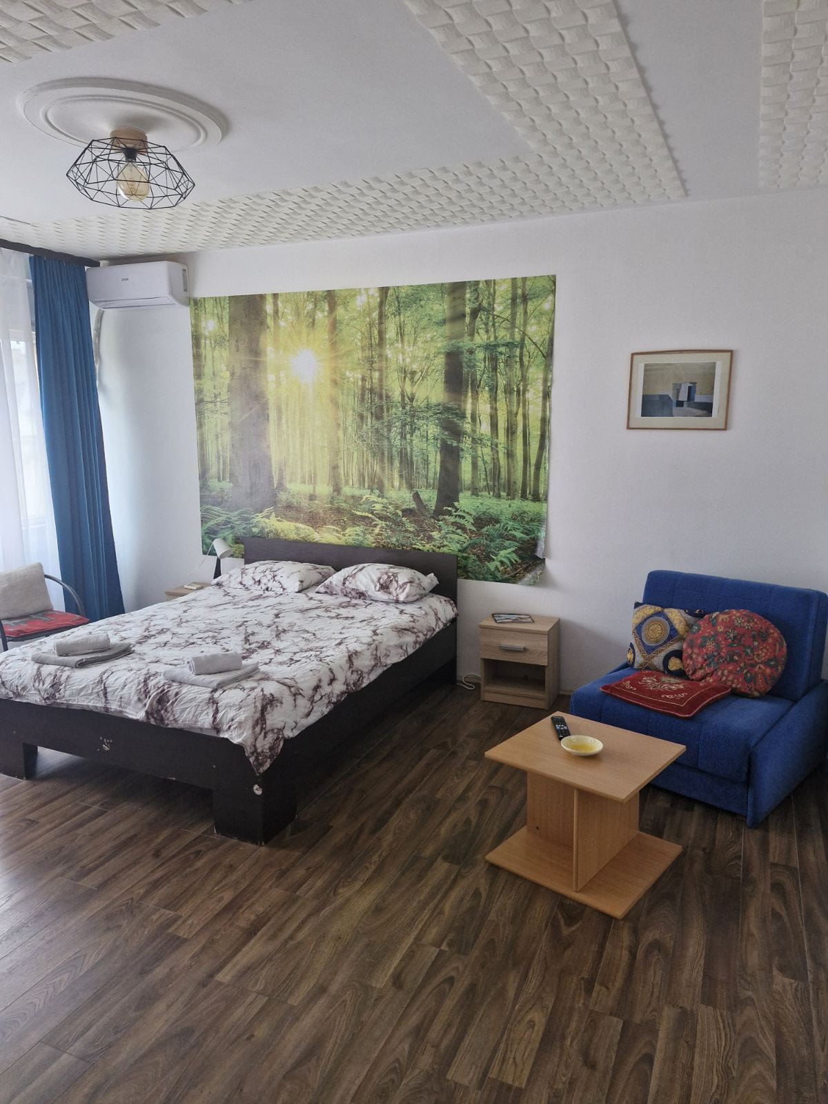 Apartman Lazar, strogi centar, pešačka zona, dnevni boravak