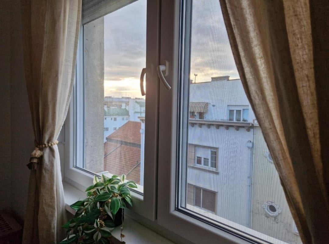 Apartman Mateja 38, prozor