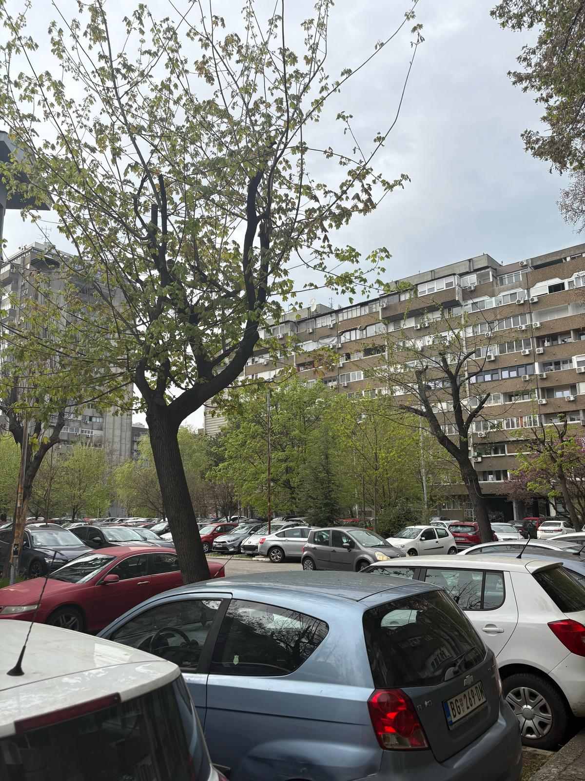 Apartman Zagi/ parking