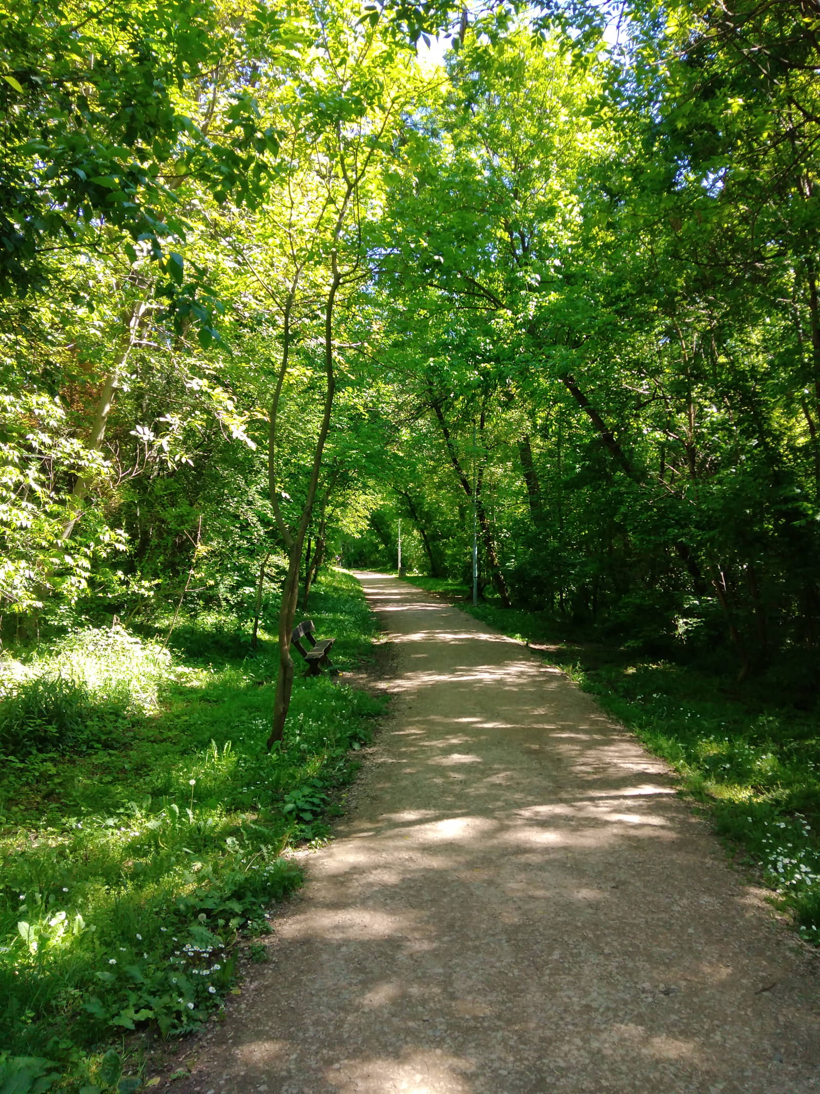 Apartman Eliza/ Banjička šuma